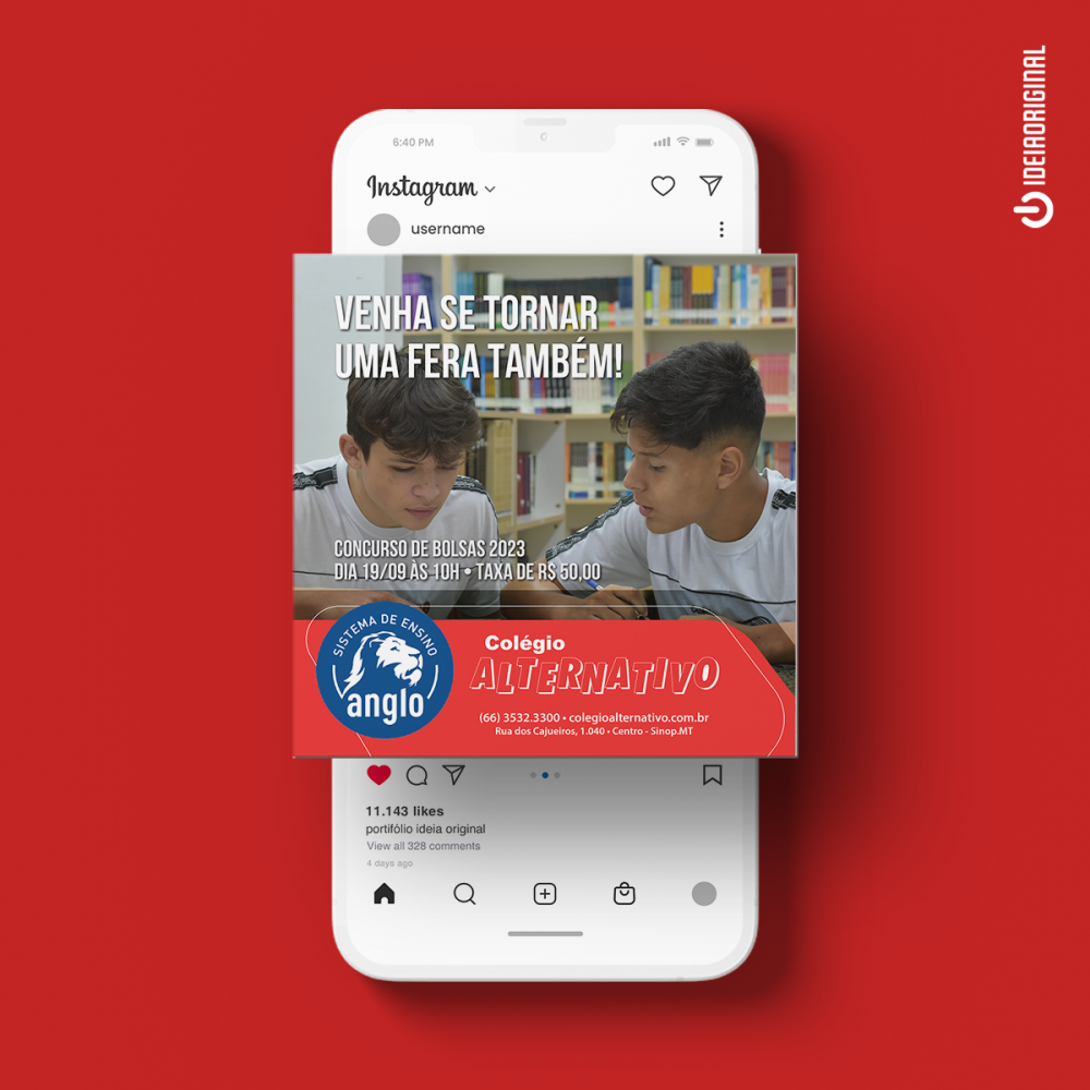 bolsas - alternativo