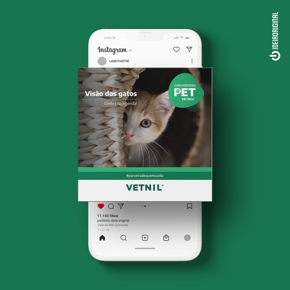visão dos gatos - vetnil